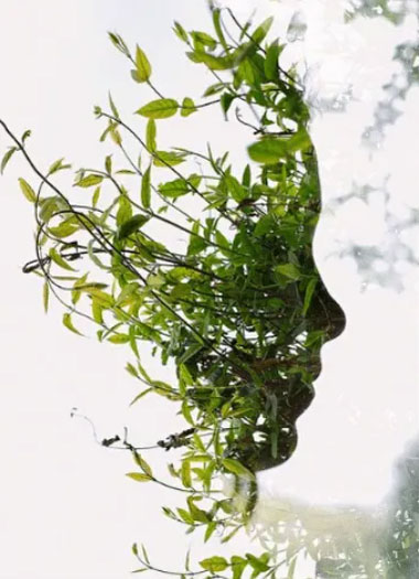 Kwalificaties Vicky Soofs Natuurgeneeskundig en Orthomoleculair Gezondheidstherapeut